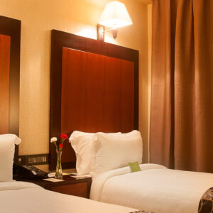 Premium Twin Room, Chennai